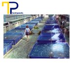 استخر-پیش-ساخته-پرورش-ماهی