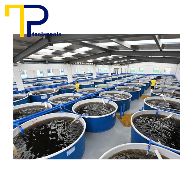 چگونه-استخر-پرورش-ماهی-خود-را-راه‌اندازی-کنیم؟