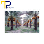 استخر-پیش-ساخته-در-رودان