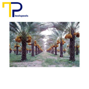 استخر-پیش-ساخته-در-رودان